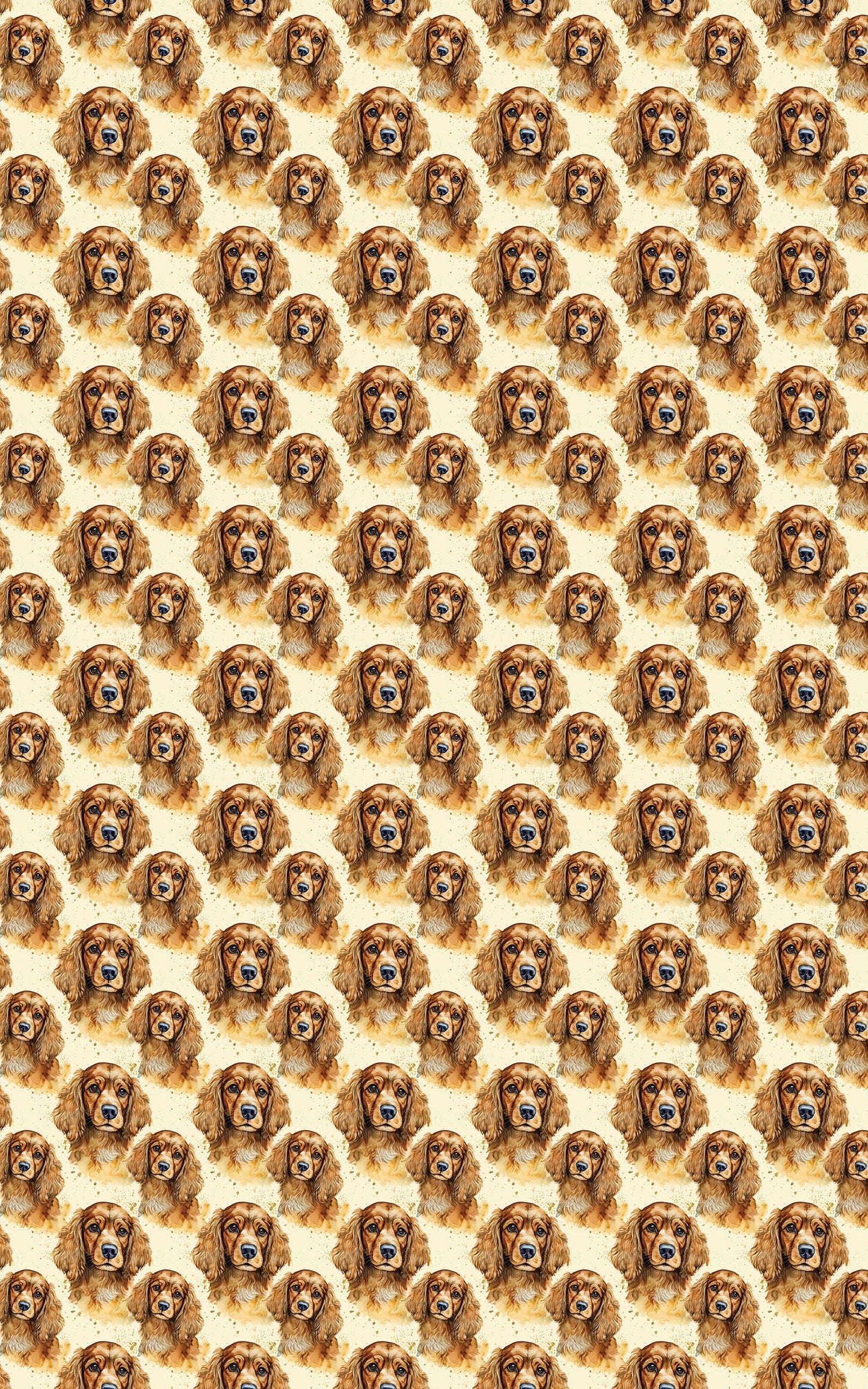 The Gentle Spaniel