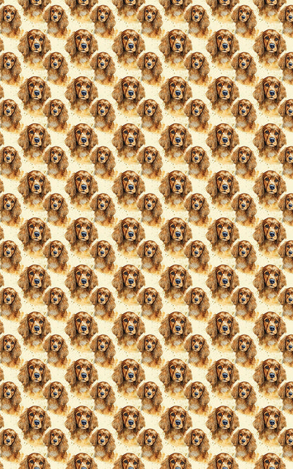 The Gentle Spaniel