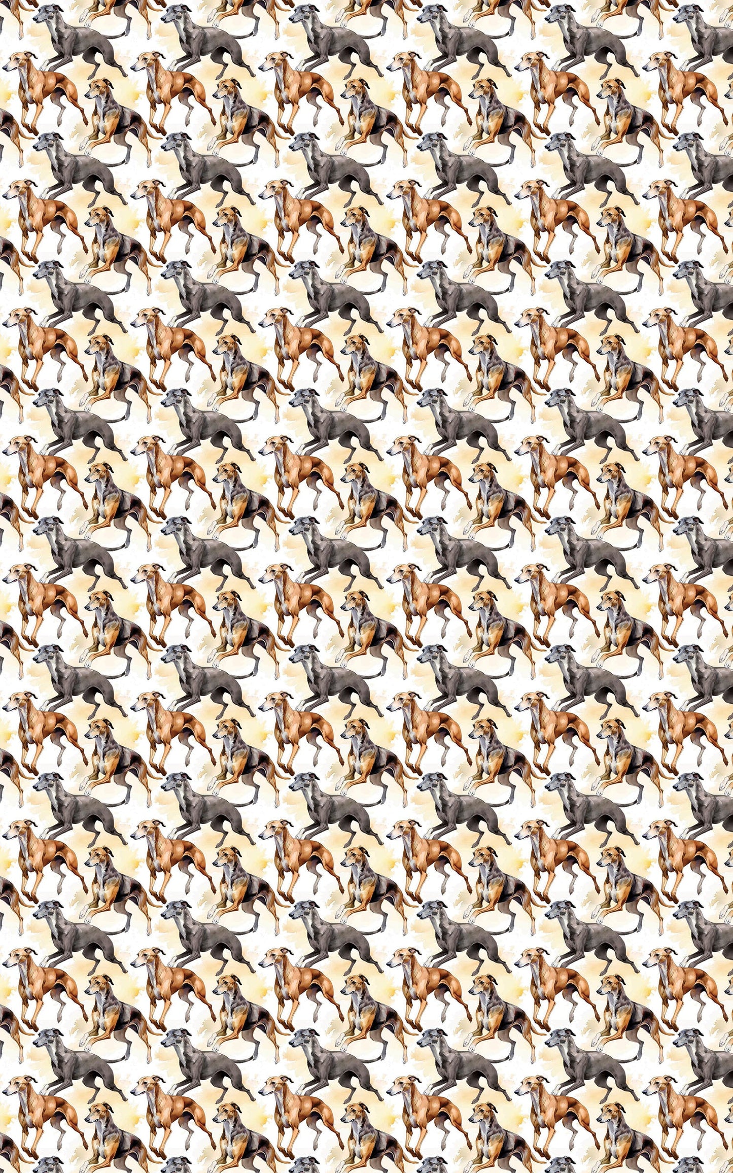 Speed & Grace – Greyhound