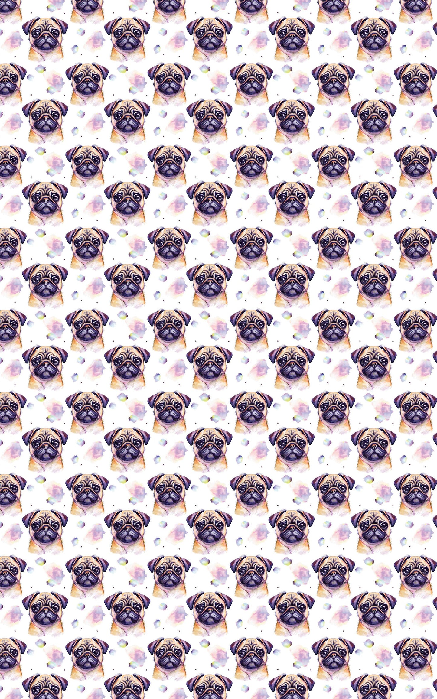 Pugs & Hugs