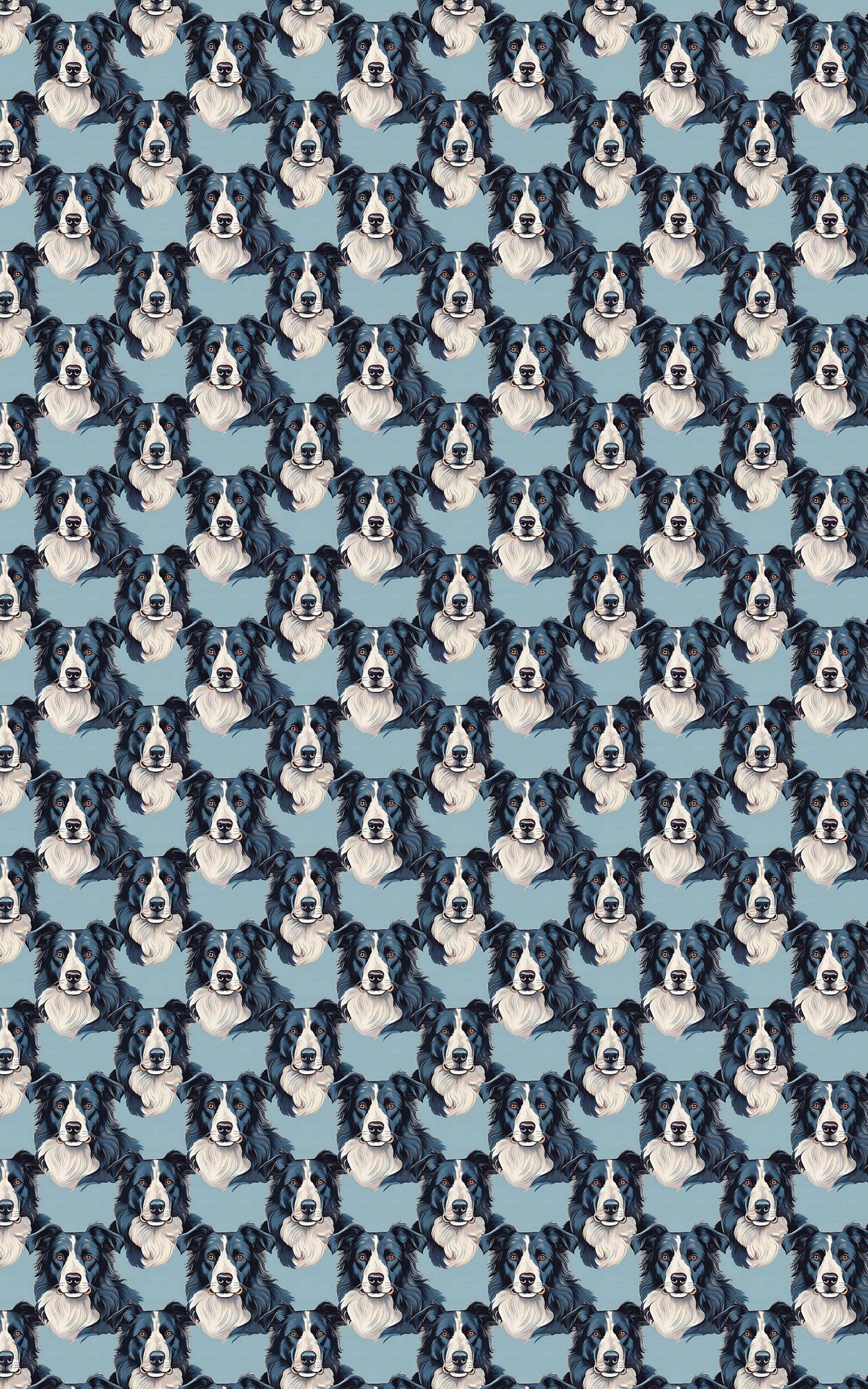 The Border Collie Look