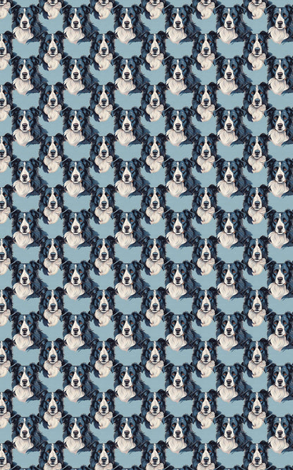 The Border Collie Look