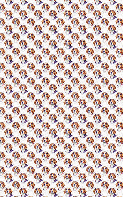 Beagle Bounce