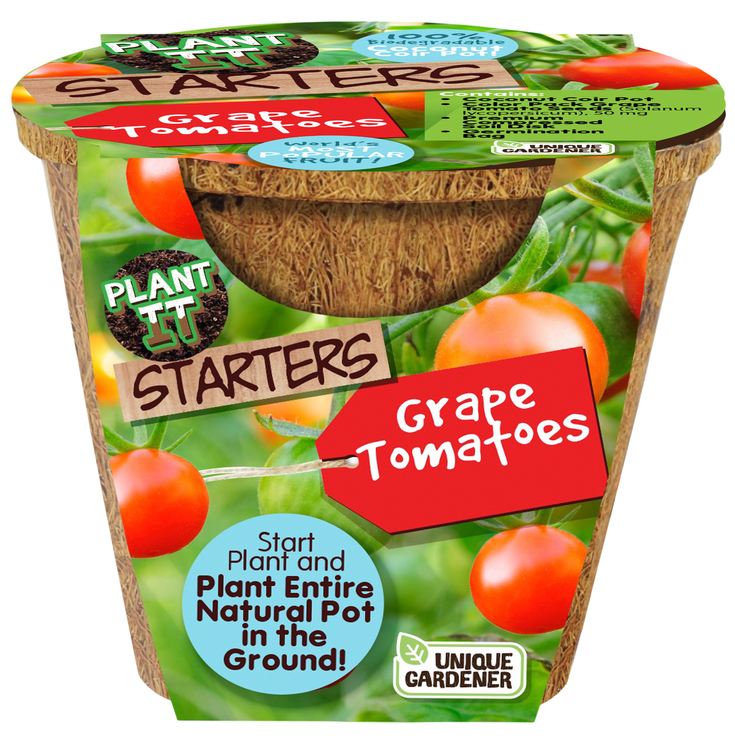 Grape Tomatoes Plant-It-Starters - Multipack of 4
