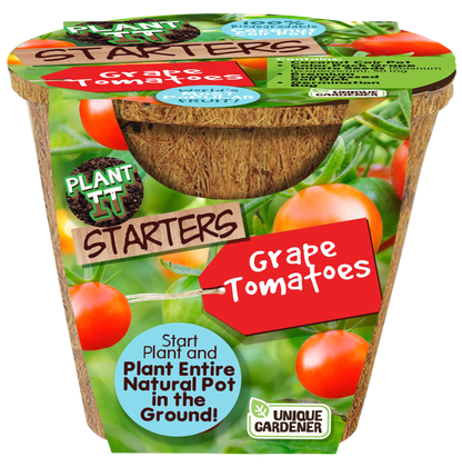 Grape Tomatoes Plant-It-Starters - Multipack of 4