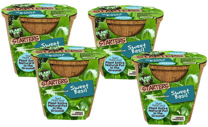 Sweet Basil Plant-It-Starters - Multipack of 4