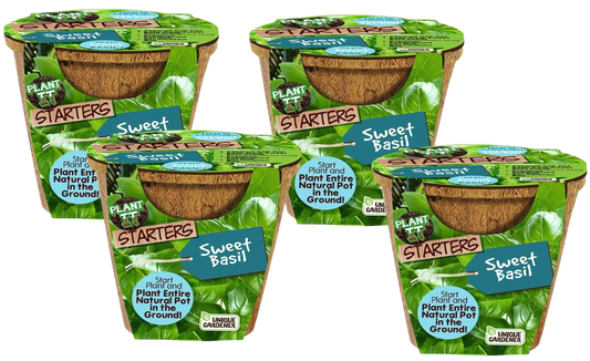 Sweet Basil Plant-It-Starters - Multipack of 4