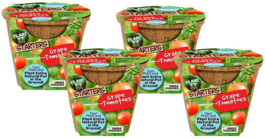 Grape Tomatoes Plant-It-Starters - Multipack of 4