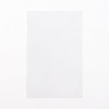 Postcard Sized Sleeves (100 count)