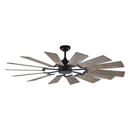 Prairie 62" LED Ceiling Fan