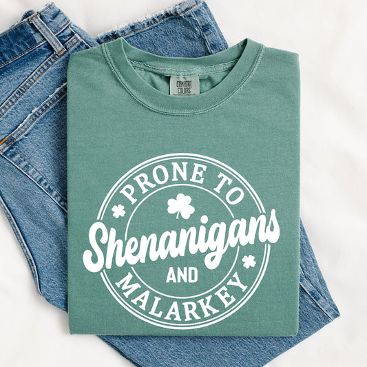 Prone to Shenanigans and Malarkey, St Patrick's Day, Shamrock, Clover, Lucky, Leprechaun Tshirt Comfort Colors T-Shirt