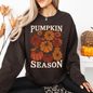 Pumpkin Season, Fall, Autumn Sweatshirt