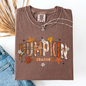 Pumpkin Season, Stars and Leaves, Autumn, Fall, Comfort Colors T-Shirt