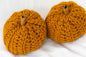 Classic Pumpkin