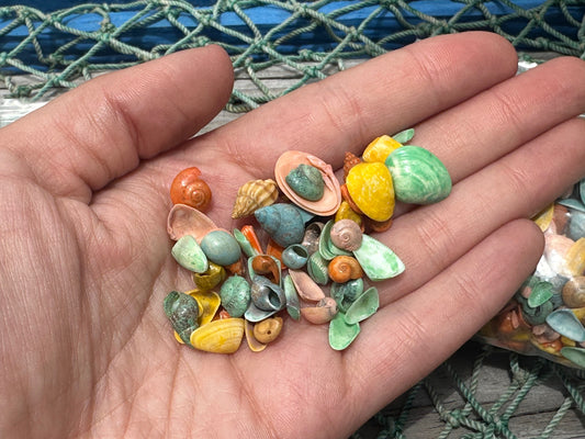 Bulk Pastel Dyed Craft Shells – Retro Color Mixture for DIY & Wedding Decor