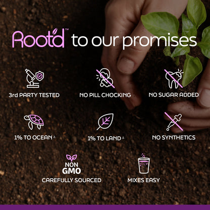 Growing Together Bundle - The Hydrating Multivitamin - For Future Mom & Dad