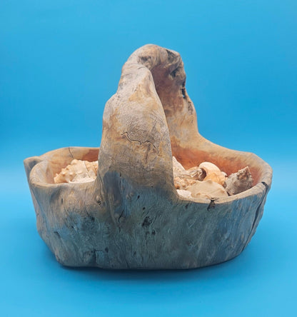 Driftwood Basket with Seashell Assortment – Rustic Coastal Decorative Accent 14.5"