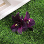 Gladiolus Flowers Small Hair Clip accessory