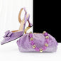 High Quality Style Ladies Shoes And Bags Set HC1-1