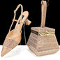 Women Shoes and Bags To Match Set HAS1-32