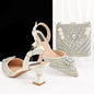 Hot Matching Women Shoe and Bag Set HFG1-1
