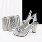 Lastest Italian Shoes with Matching Bag Set HFG1-2