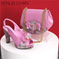 Newest Pumps Women High Heels Shoes and Bags Set