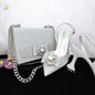 Elegant Set Pointed Toe Shoes And Bag Set