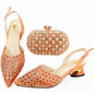 High Quality Style Ladies Shoes And Bags Set HAE1-7