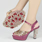 New Arrival Italian Party Shoes and Bag Set