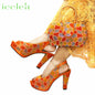 New Arrival Peep Toe Women's Shoes & Bag Set