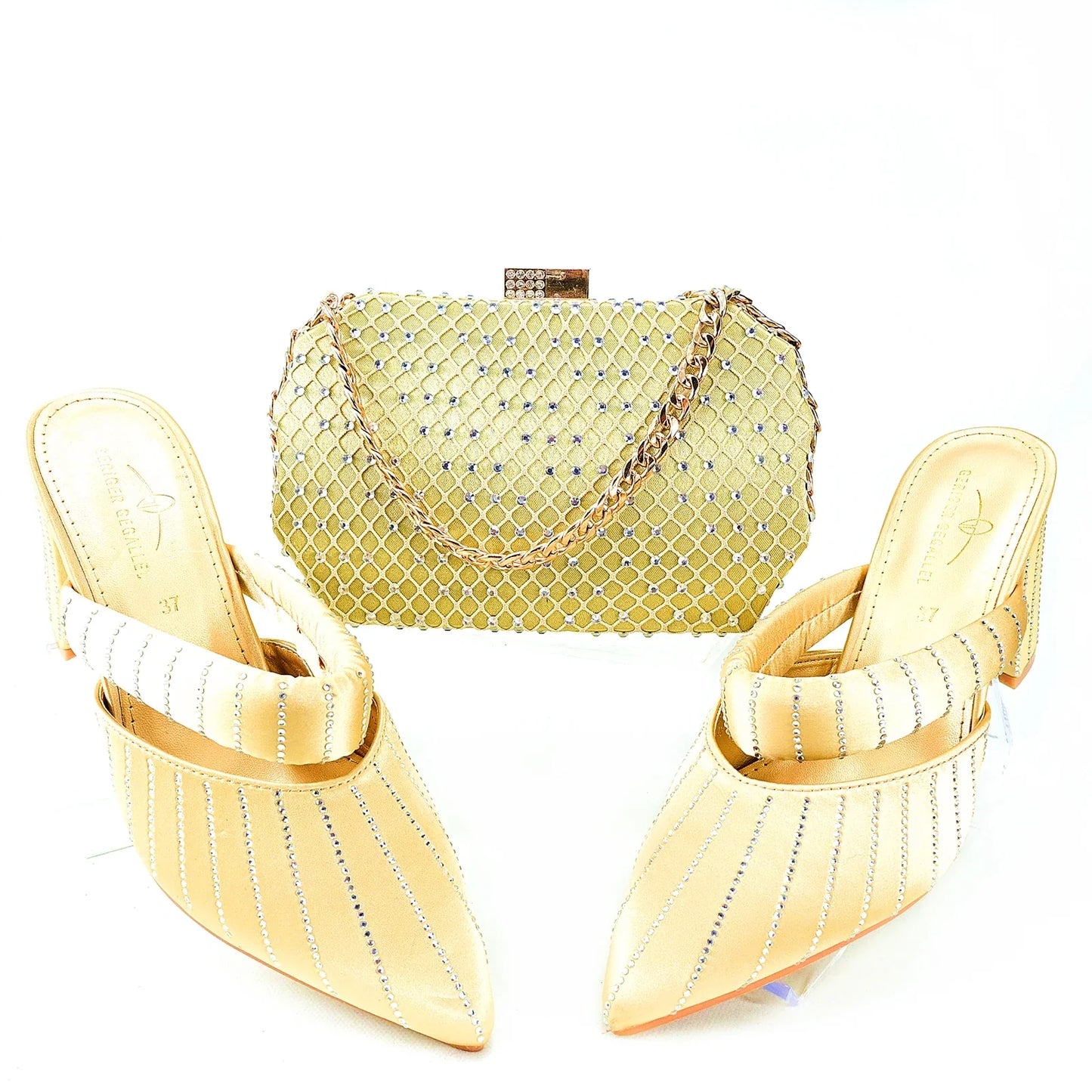 Newest Hot Selling Ladies Shoes Matching Bag Set TR1-1