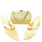 Newest Hot Selling Ladies Shoes Matching Bag Set TR1-1