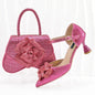New Arrival Shoes and Bag Set HGO1-2