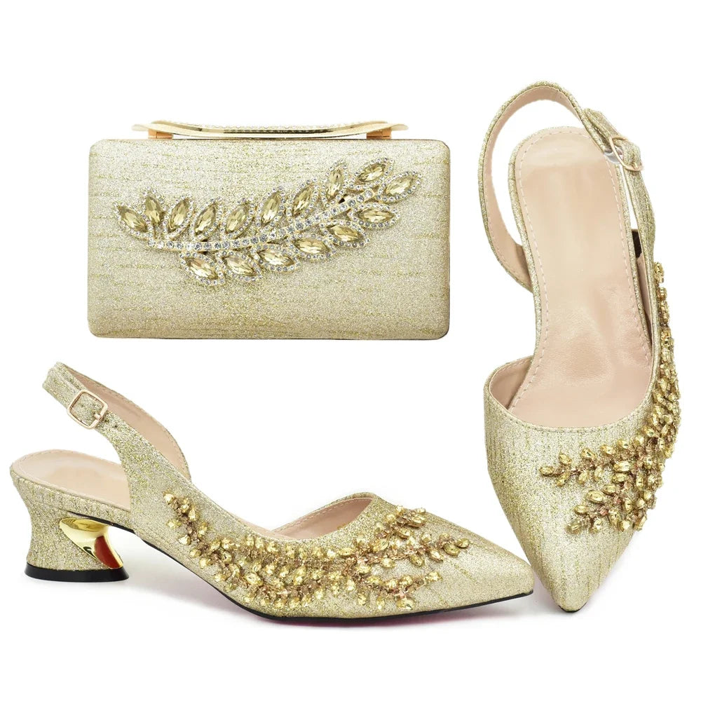 Latest Italian Shoe and Bag Set