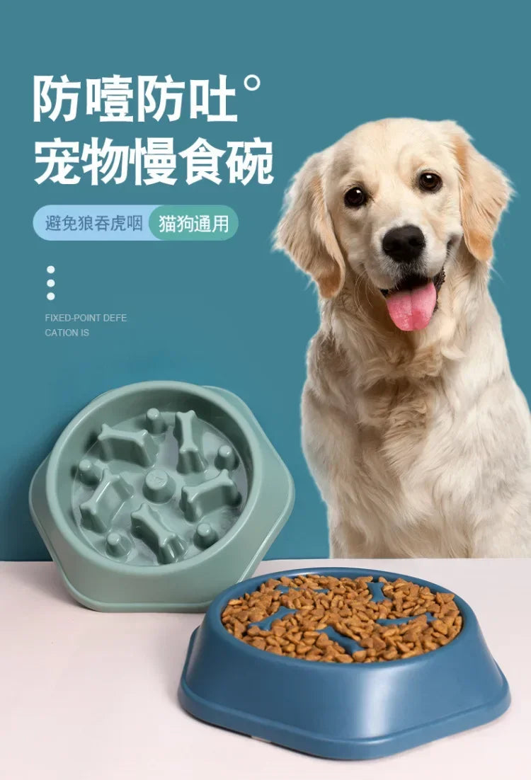 Dog with a slow feed bowl and a green anti-choking pet feeder on a blue background