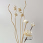 1 Set Diffuser Sticks Flower Aromatherapy Rattan No Fire Aroma Diffuser Sticks Home Living Room Aromatic Incense Supplies