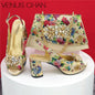 Italian Style Evening Party shoes And Bag Set New