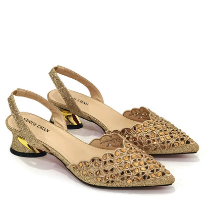 New Low Heel Pointed-Toe Shoes and Bags Set