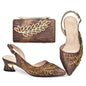 Latest Italian Shoe and Bag Set