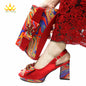 Italian Design Shoes Matching Bag Set