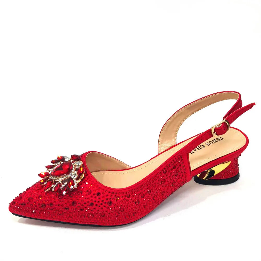 Design Pointed Toe Thin Heels Ladies Shoes Matching Bag Set