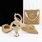 Hot Matching Women Shoe and Bag Set HFG1-1