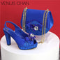 Newest Pumps Women High Heels Shoes and Bags Set