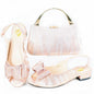 New Shoes And Bag Matching Set HAS1-10