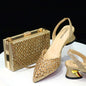 New Low Heel Pointed-Toe Shoes and Bags Set