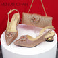 Design Pointed Toe Thin Heels Ladies Shoes Matching Bag Set