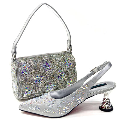 Hot Selling Shoes and Bags To Match Set HDS1-6