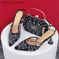Italian Design Elegant Pumps with Shoes and Bags Matching Set