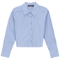 Cropped Stripped Blouse
